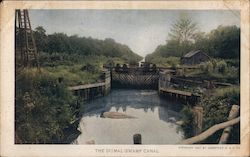 The Dismal Swamp Canal Postcard