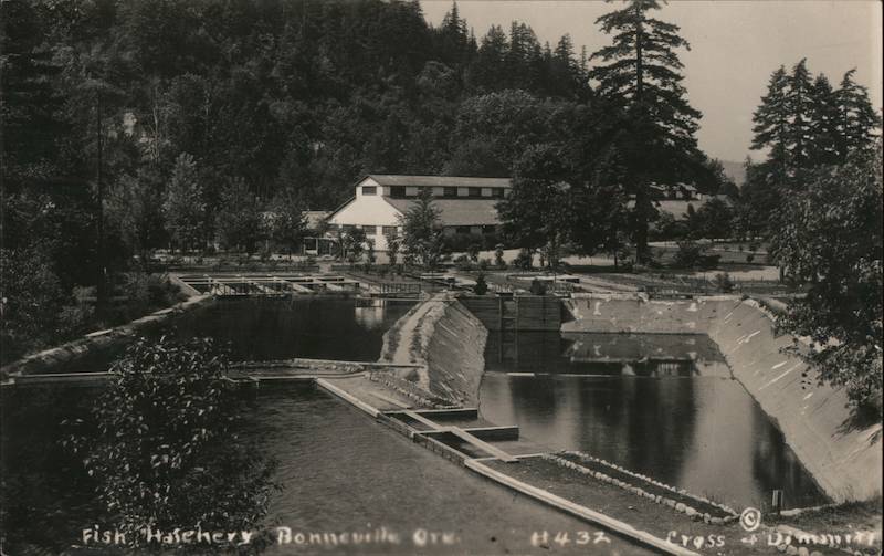 Fish Hatchery Bonneville Oregon