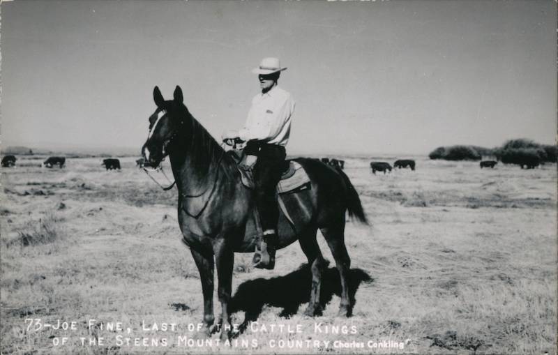 Joe Fine - Last of the Cattle Kings of the Steens Mountains Country