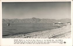 Desert Beach on the North East Shores of the Salton Sea Postcard