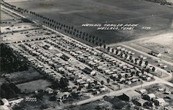 Weslaco Trailer Park Postcard