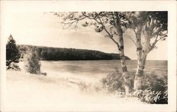 Garrett Bay Postcard