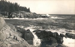 Rocky beach Mount Desert, ME Ballard Photo Postcard Postcard Postcard