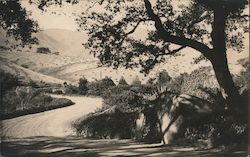 Rolling Hills - Hope Ranch? Postcard