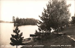 An Island in the Phillips Flowage Postcard