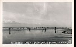 Clam Digging Pacific Ocean Beach Postcard