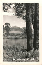 Scenic View Livingston, MT Postcard Postcard Postcard