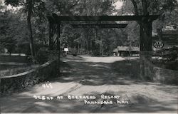 Scene at Beechers Resort Annandale, MN Postcard Postcard Postcard