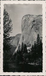 El Capitan Bunnell  Sample Photo Original Photograph