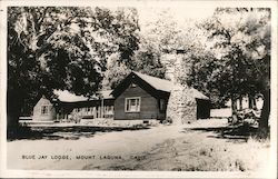 Blue Jay Lodge Mount Laguna, CA Postcard Postcard Postcard