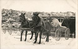 Man in Horse Drawn Buggy Postcard