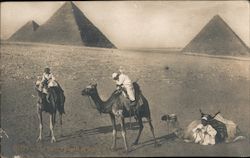 Stock #990225 Thumbnail