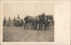 Farmers, Horse-Drawn Plows Postcard