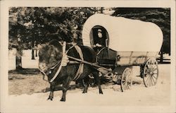 Ox pulling a covered wagon Postcard