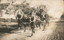 Horse Drawn Wagon Postcard