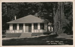 The Big Tree Inn La Honda, CA Postcard Postcard Postcard