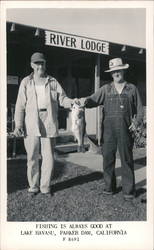 Fishing is Always Good at Lake Havasu Parker Dam, CA Postcard Postcard Postcard