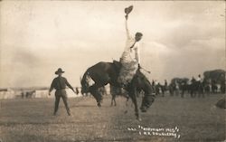Cowboy Riding Bucking Horse Postcard