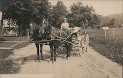 Man Riding a Horse-Drawn Buggy Postcard