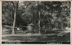 Butternut Park Elmwood, WI Postcard Postcard Postcard