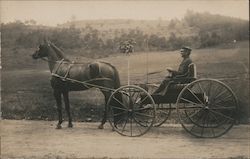 Man Riding in a Horse-Drawn Buggy Postcard