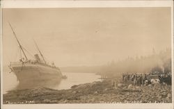 Mariposa Aground Postcard
