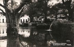 Chapultepec Park Postcard