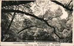 Scenic View Postcard
