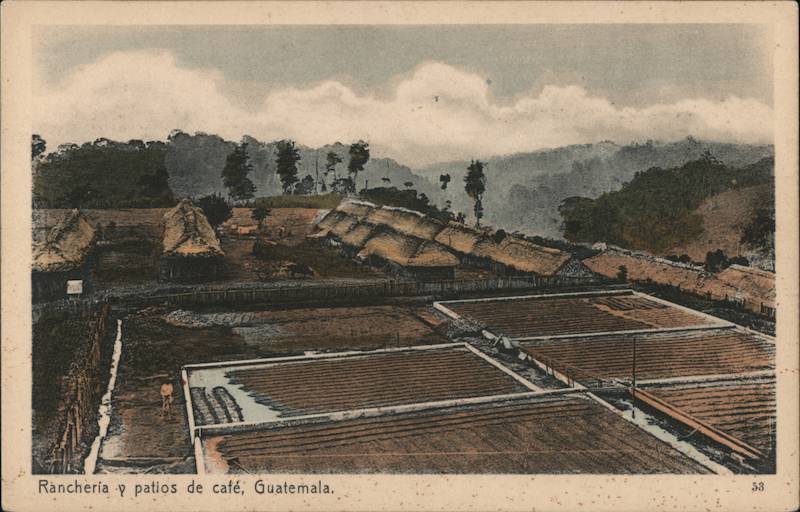 Rancheria y patios de cafe, Guatemala Central America