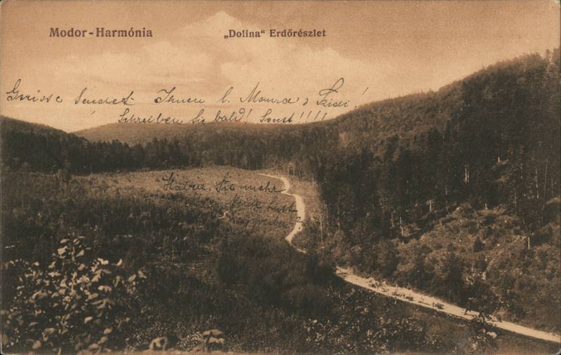 Modra-Harmonia Dolina Forest Slovakia Eastern Europe