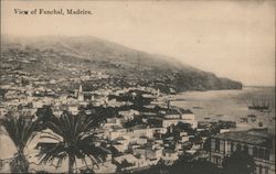 View of Funchal Postcard