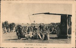 Bedoui Tribe Postcard