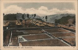 Rancheria y patios de cafe, Guatemala Postcard
