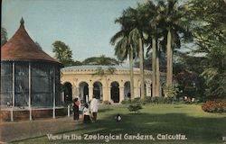 View in the Zoological Garden, Calcutta Postcard