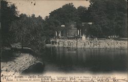 Jardin Zoologique - Logement des Ours et Bassin des Aquatiques Antwerp, Belgium Postcard Postcard Postcard