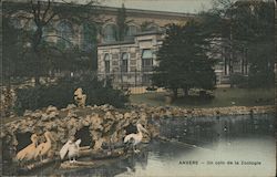 Anvers - A Corner of the Zoo Antwerp, France Postcard Postcard Postcard