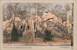 Goat Mountain, Zoological Garden Postcard