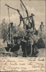 Arab Shadoof (Irrigation Tool) Postcard