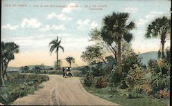 ISLE OF PINES - One of the Government roads Postcard
