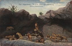 Hagenbeck's Zoological Garden in Hamburg - Lion Pit Germany Postcard Postcard Postcard