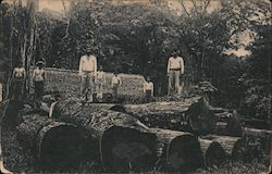 Greetings from Bluefields, Nicaragua Postcard