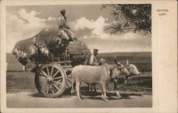 Cotton Cart Postcard