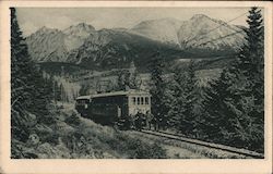 Group on the Electric Train Postcard