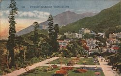 Public Garden Hong Kong, China Postcard Postcard Postcard