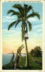 Honey, Come Down, I'M Waiting For You Scenic, FL Postcard Postcard