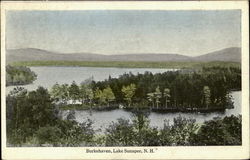 Burkehaven Postcard