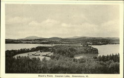 Black's Point, Caspian Lake Postcard
