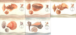 Set of 5: 22c Seashells Postcard
