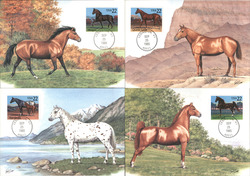 Set of 4: 22c Horses Postcard
