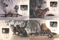 Set of 4: Cats 22c Cat Stamps Postcard